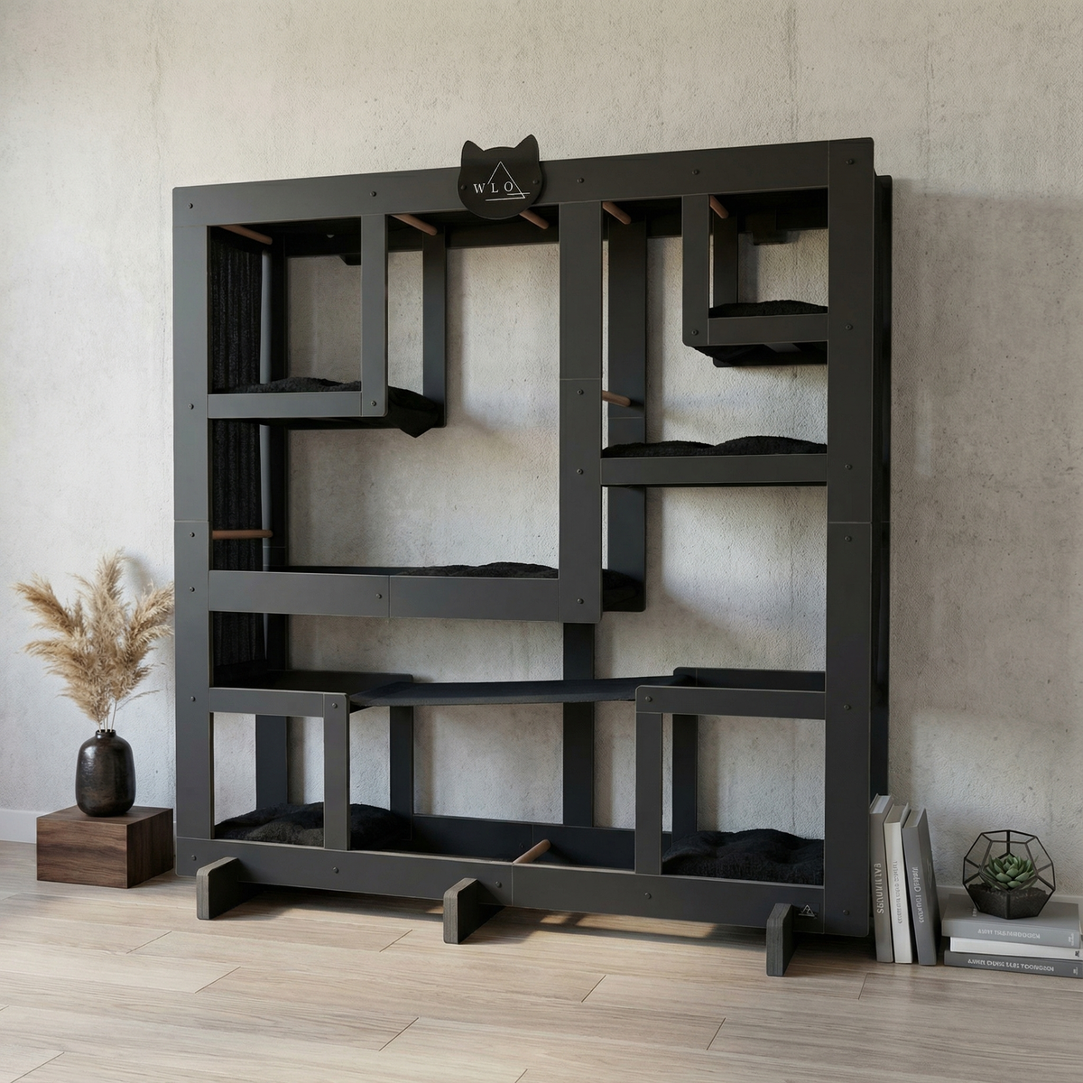 Black cat立体架在室内环境中